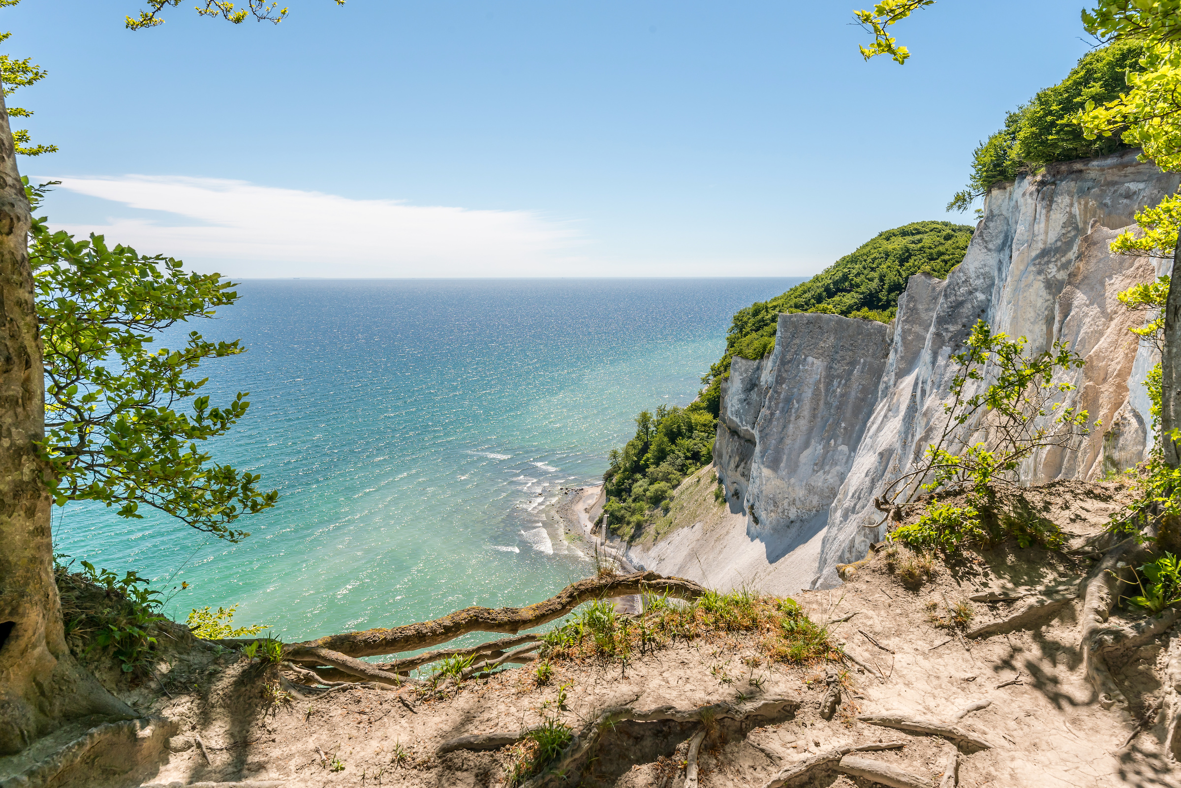 Acantilados blancos de tiza de Møns Klint sobre el mar Báltico